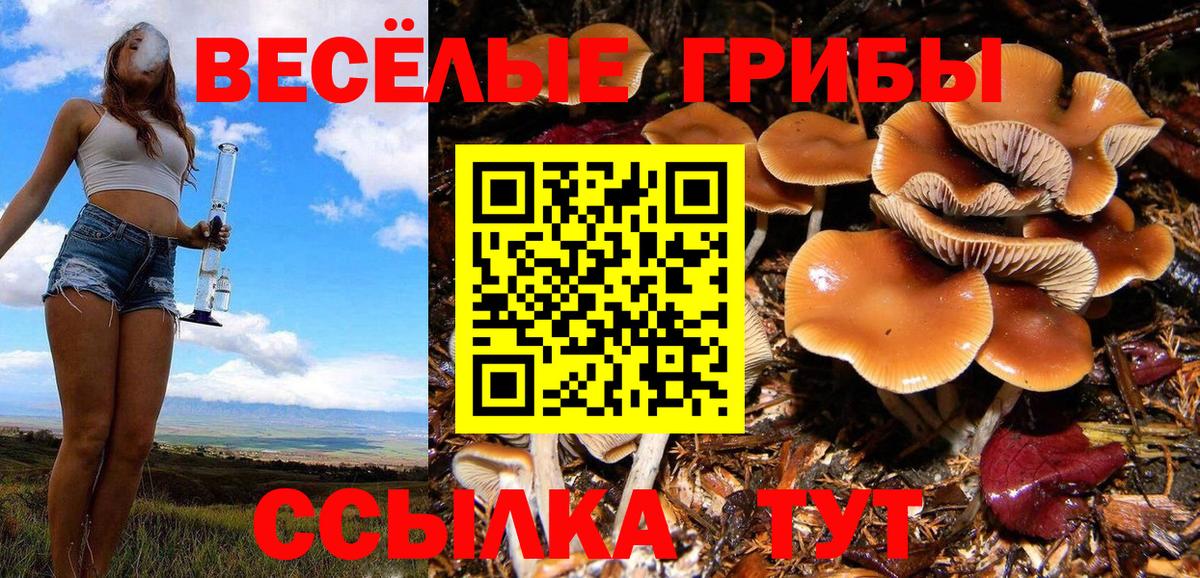 Галлюциногенные грибы прущие грибы Строитель