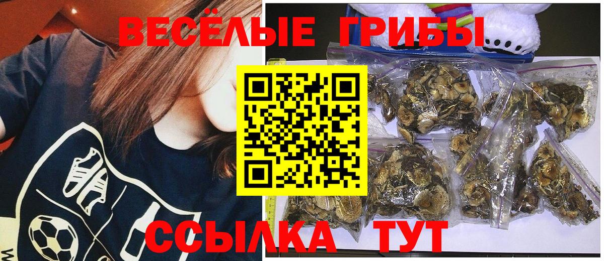 Строитель  Галлюциногенные грибы мицелий  Вход с VPN  Псилоцибиновые грибы мицелий 